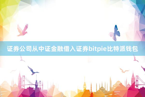 证券公司从中证金融借入证券bitpie比特派钱包