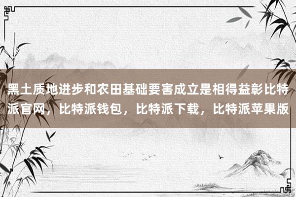 黑土质地进步和农田基础要害成立是相得益彰比特派官网，比特派钱包，比特派下载，比特派苹果版