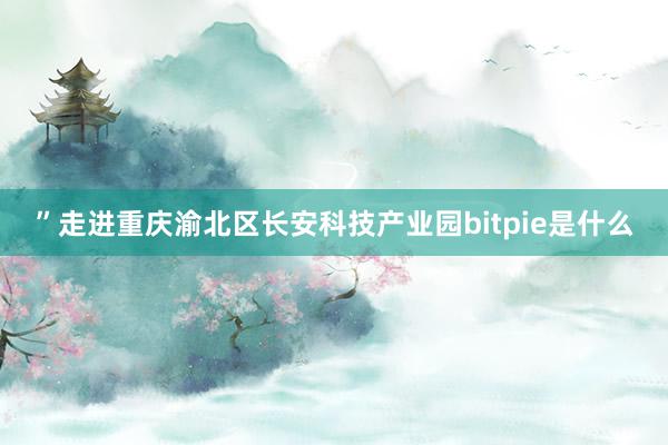 ”走进重庆渝北区长安科技产业园bitpie是什么