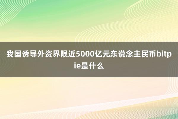 我国诱导外资界限近5000亿元东说念主民币bitpie是什么