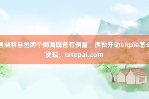 强制和自觉两个阛阓既各有侧重、孤独开动bitpie怎么提现，bitepai.com