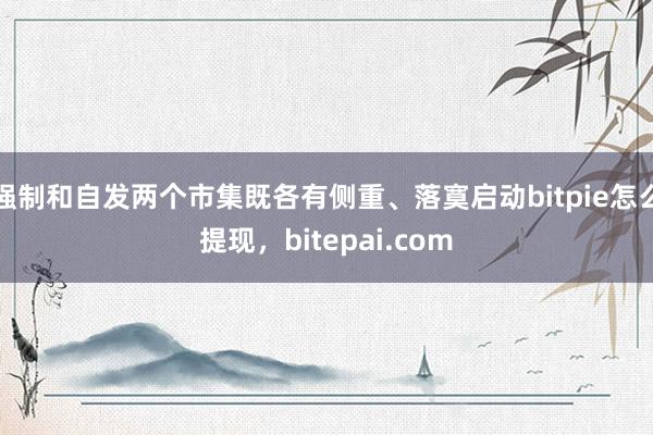 强制和自发两个市集既各有侧重、落寞启动bitpie怎么提现，bitepai.com