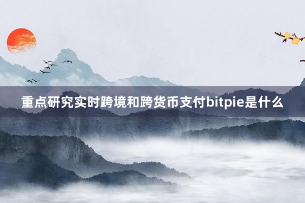 重点研究实时跨境和跨货币支付bitpie是什么