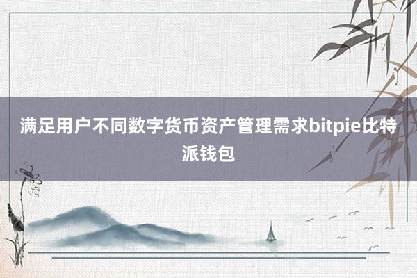 满足用户不同数字货币资产管理需求bitpie比特派钱包