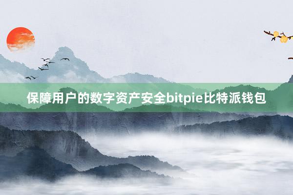 保障用户的数字资产安全bitpie比特派钱包