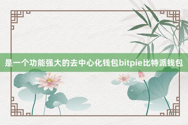 是一个功能强大的去中心化钱包bitpie比特派钱包