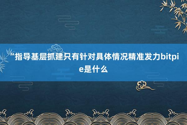 “指导基层抓建只有针对具体情况精准发力bitpie是什么