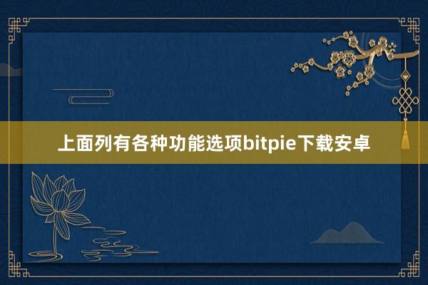 上面列有各种功能选项bitpie下载安卓