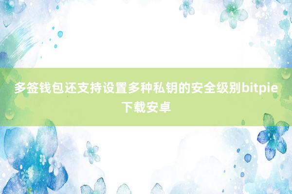 多签钱包还支持设置多种私钥的安全级别bitpie下载安卓