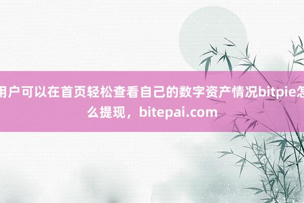 用户可以在首页轻松查看自己的数字资产情况bitpie怎么提现，bitepai.com