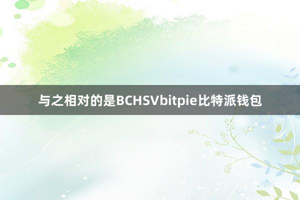 与之相对的是BCHSVbitpie比特派钱包