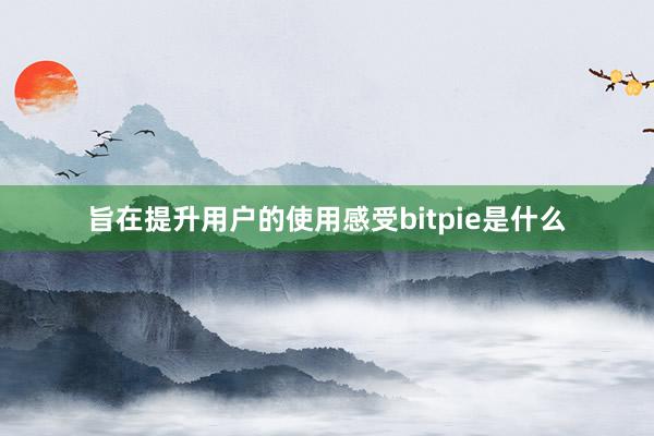 旨在提升用户的使用感受bitpie是什么