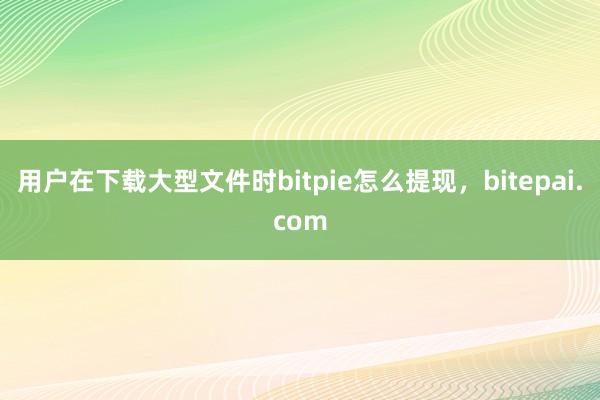 用户在下载大型文件时bitpie怎么提现，bitepai.com