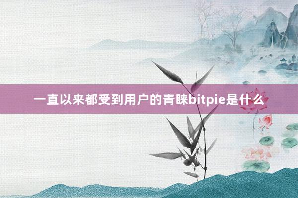 一直以来都受到用户的青睐bitpie是什么