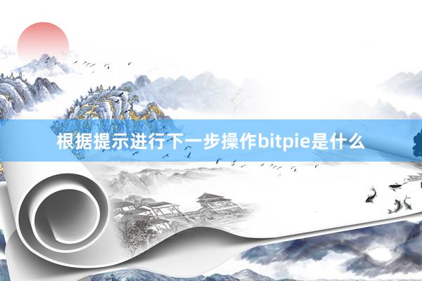 根据提示进行下一步操作bitpie是什么