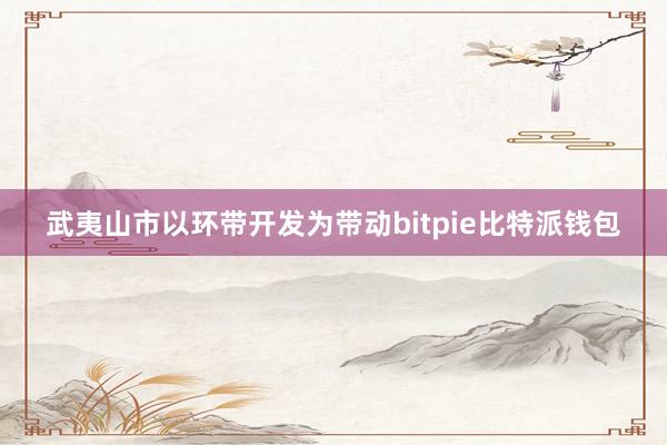 武夷山市以环带开发为带动bitpie比特派钱包