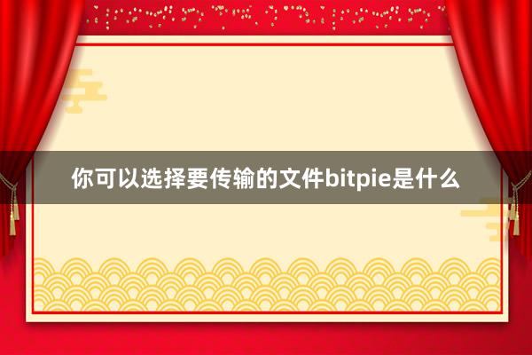 你可以选择要传输的文件bitpie是什么