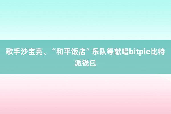 歌手沙宝亮、“和平饭店”乐队等献唱bitpie比特派钱包