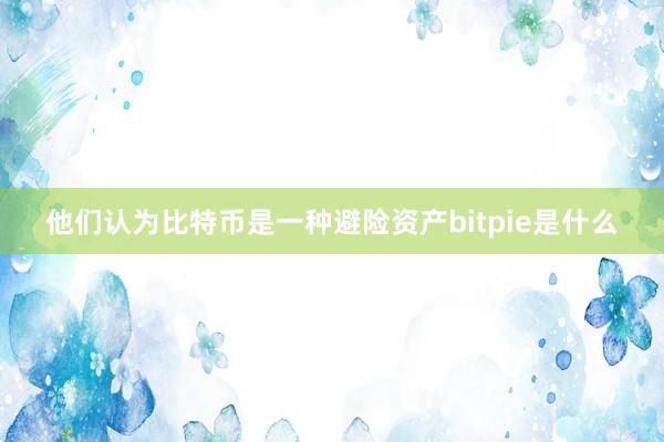 他们认为比特币是一种避险资产bitpie是什么