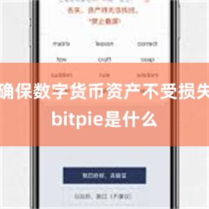 确保数字货币资产不受损失bitpie是什么