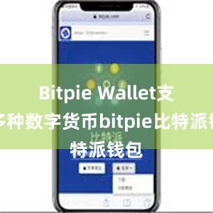 Bitpie Wallet支持多种数字货币bitpie比特派钱包