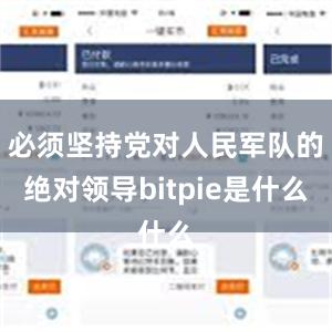 必须坚持党对人民军队的绝对领导bitpie是什么