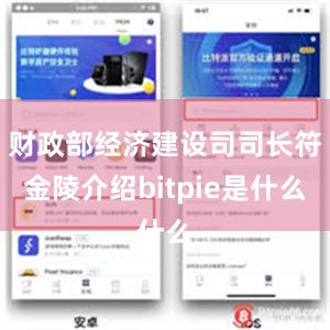 财政部经济建设司司长符金陵介绍bitpie是什么