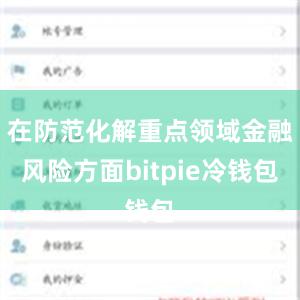 在防范化解重点领域金融风险方面bitpie冷钱包