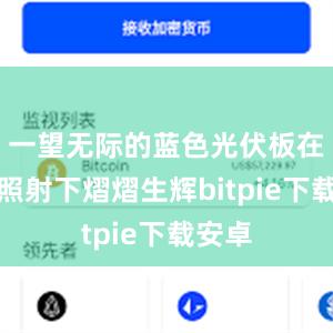 一望无际的蓝色光伏板在阳光照射下熠熠生辉bitpie下载安卓