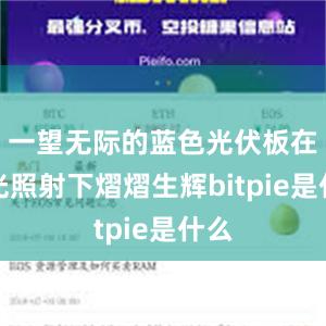 一望无际的蓝色光伏板在阳光照射下熠熠生辉bitpie是什么