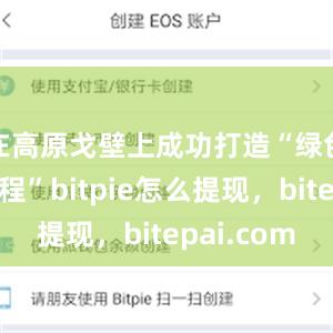 在高原戈壁上成功打造“绿色平价工程”bitpie怎么提现，bitepai.com