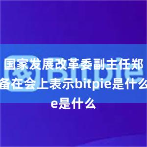 国家发展改革委副主任郑备在会上表示bitpie是什么