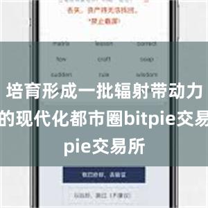 培育形成一批辐射带动力强的现代化都市圈bitpie交易所