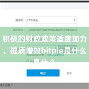 积极的财政政策适度加力、提质增效bitpie是什么