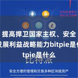 提高捍卫国家主权、安全、发展利益战略能力bitpie是什么