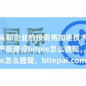 头部企业的投资将加速技术创新和产能建设bitpie怎么提现，bitepai.com