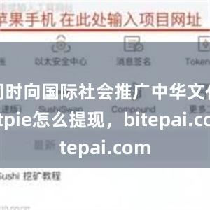 同时向国际社会推广中华文化bitpie怎么提现，bitepai.com