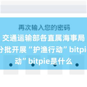 交通运输部各直属海事局将分类分批开展“护渔行动”bitpie是什么