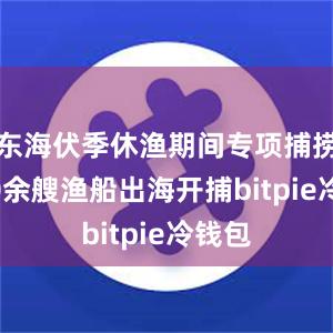 东海伏季休渔期间专项捕捞9600余艘渔船出海开捕bitpie冷钱包