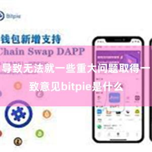 导致无法就一些重大问题取得一致意见bitpie是什么