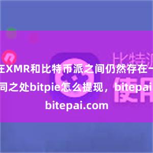 在XMR和比特币派之间仍然存在一些不同之处bitpie怎么提现，bitepai.com