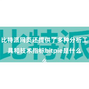 比特派网页还提供了多种分析工具和技术指标bitpie是什么