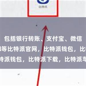 包括银行转账、支付宝、微信、PayPal等比特派官网，比特派钱包，比特派下载，比特派苹果版