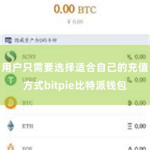 用户只需要选择适合自己的充值方式bitpie比特派钱包