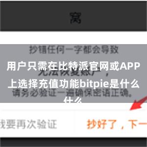 用户只需在比特派官网或APP上选择充值功能bitpie是什么