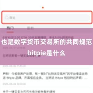 也是数字货币交易所的共同规范bitpie是什么